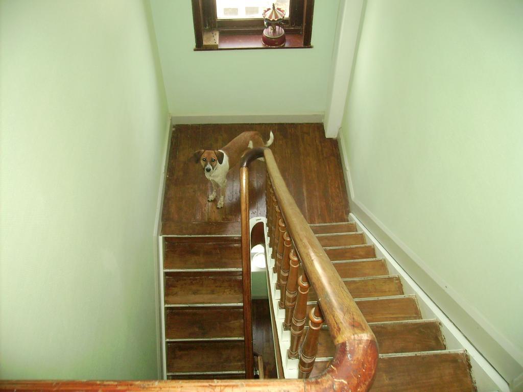 Villa Olga Blankenberge Esterno foto